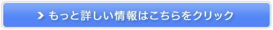 z[PAŃzCgjOyzCgRX^[z̔TCg